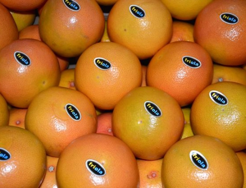 Pompelmoes – Friola