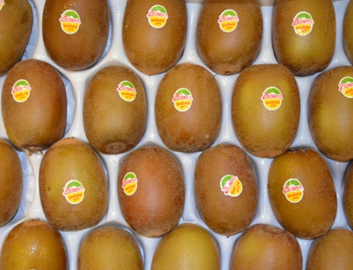 Kiwi Sungold