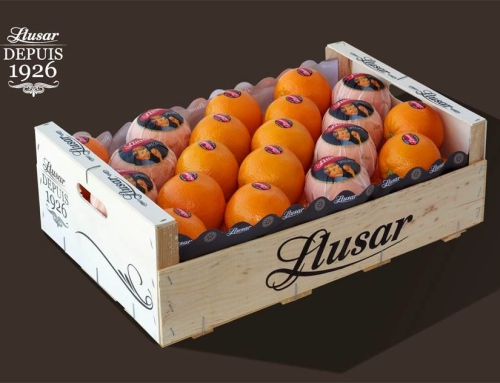 Llusar Appelsien en Nadarcott